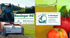 Desktop Screenshot of bussingerag.ch