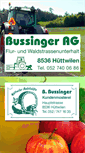 Mobile Screenshot of bussingerag.ch
